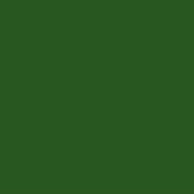 Barva na textil Darwi Tex 30 ml - zelená mechová